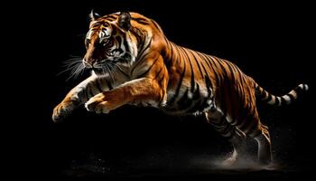 bengal tiger gående stirrande, våldsam, majestätisk, randig päls genererad förbi ai foto