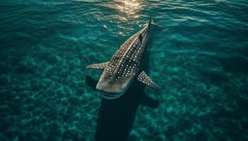 majestätisk delfin simning i lugn tropisk havsbild, endangered skönhet genererad förbi ai foto