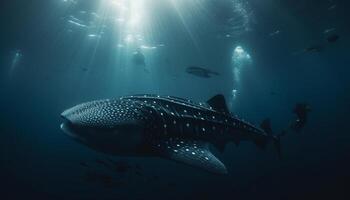 röd hav äventyr fri dykning med endangered hav liv Nedan genererad förbi ai foto