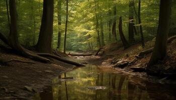 lugn scen av höst skog, våt löv, och strömmande vatten genererad förbi ai foto