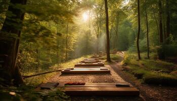 lugn skog gångstig försvinnande in i de mystisk vildmark ett huvud genererad förbi ai foto