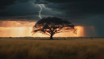 silhuett av träd mot dramatisk himmel i afrikansk savann genererad förbi ai foto