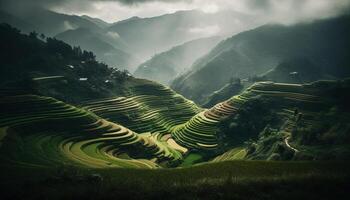 terrasserad ris paddies monter tillväxt i sa pa lantlig landskap genererad förbi ai foto