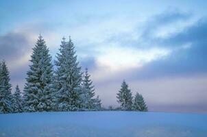 vinter- landskap landskap foto