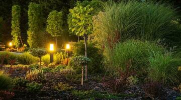 dekorativ bakgård trädgård upplyst förbi trädgård belysning foto