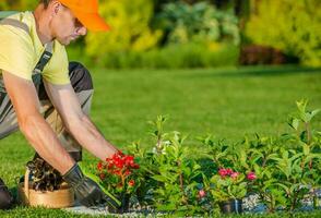 plantering ny blommor foto