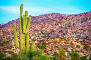 rå arizona landskap foto