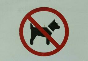 restriktion för föra hund in i de områden foto