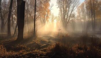 höst soluppgång, dimma på de äng, mysterium genererad förbi ai foto