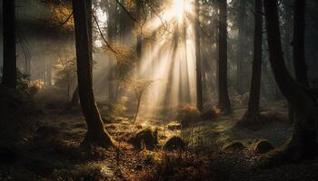 vibrerande höst lövverk en lugn skog scen genererad förbi ai foto