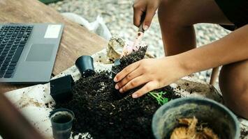 pojke händer skotta jord in i kastruller till förbereda växter för plantering fritid aktiviteter begrepp foto