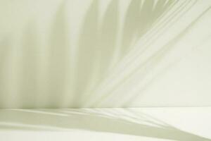 abstrakt suddigt handflatan blad på vit rum. minimalistisk interiör för visa produkt foto