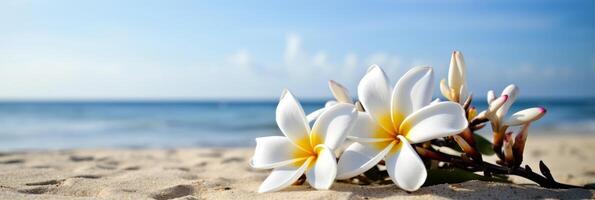 plumeria frangipani på tropisk hav och strand blå himmel bakgrund, sommar festlig tid. generativ ai foto