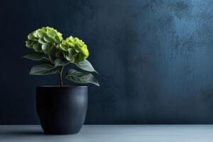 0396. hortensia växt i främre av mörk vägg. generativ ai foto