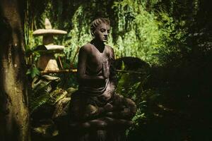 sten Sammanträde buddha staty upplyst förbi de Sol i skugga av träd i de japansk trädgård under de solig sommar dag med fredligt zen atmosfär foto