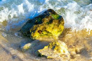 stenar stenar koraller turkos grön blå vatten på strand Mexiko. foto