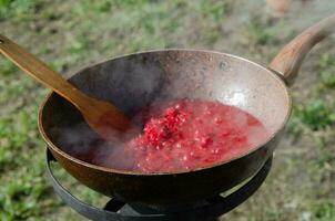 matlagning i de gård under svår gånger. en fräsning panorera i som klä på sig för borscht är beredd på de spis i de gård.. foto