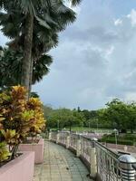 naturlig trädgård , tangga putrajaya steg i malaysia foto