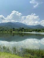taman tasik millenium malaysia . naturlig kullar trädgård sjö tillsammans foto