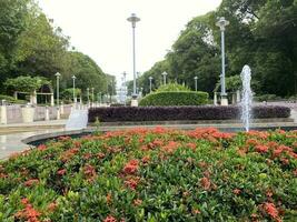 naturlig trädgård , tangga putrajaya steg i malaysia foto