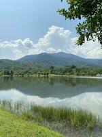 taman tasik millenium malaysia . naturlig kullar trädgård sjö tillsammans foto