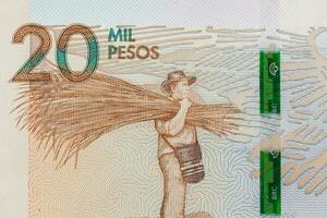jordbrukare bärande gynerium sagittatum på de tjugo tusen colombianska pesos räkningen foto