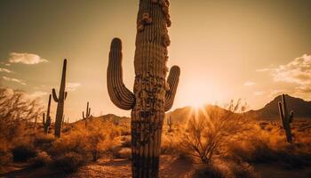 silhuett av saguaro kaktus på solnedgång, lugn genererad förbi ai foto