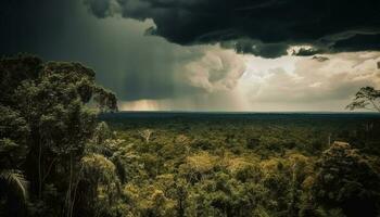 lugn scen av tropisk regnskog på skymning genererad förbi ai foto