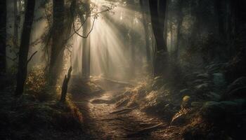 läskigt skog gångstig, mysterium i natur skönhet genererad förbi ai foto