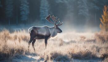 behornad sven står i lugn vinter- skog genererad förbi ai foto