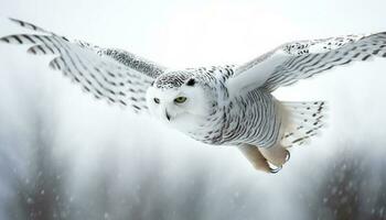 snöig Uggla flygande, spridning vingar, skönhet i natur generativ ai foto