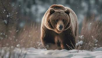päls täckt arktisk däggdjur gående i snöig skog genererad förbi ai foto