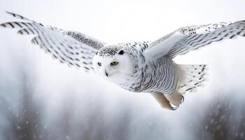 snöig Uggla flygande spridning vingar skönhet i natur genererad förbi ai foto