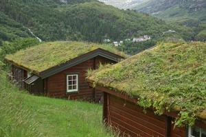 typiskt gammalt trähus med gräsmatta i fjordarna i geiranger i norge foto