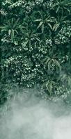 vertikal trädgård med tropiskt grönt blad med dimma och regn