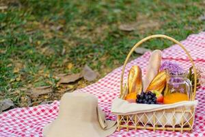 picknick lunch måltid utomhus parkera med mat picknick korg. njuter picknick tid i parkera natur utomhus- foto