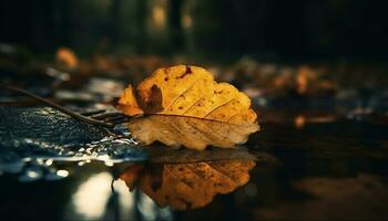 gyllene lönn blad falls in i lugn damm, reflekterande vibrerande höst skönhet genererad förbi ai foto
