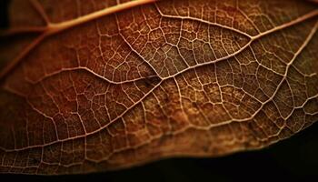 vibrerande höst blad ven ställer ut organisk tillväxt i natur skönhet genererad förbi ai foto
