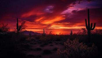 lugn solnedgång över torr landskap, silhuetter av kaktusar och bergen genererad förbi ai foto