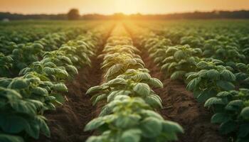 färsk organisk grönsaker vuxen i en mång färgad äng under solljus genererad förbi ai foto
