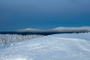 snötäckt polär kon kullar i vinter- tidigt i de morgon. vinter- polaris landskap. se av de snötäckt kullar. kall vinter- väder. hård nordlig klimat bakgrund. foto