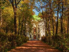 kuskovo museum egendom i höst, parkera konst i kuskovo. Moskva. foto