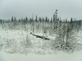 vinter- berg flod i karelen flöden genom de skog. de kraft av vild majestätisk natur. foto