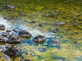skön natur bakgrund av stenig botten i turkos transparent vatten. lysande grön naturlig bakgrund med en träsk yta. landskap med vild flora av highlands i sumpig berg sjö. foto