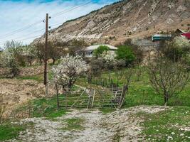 blomning berg trädgård i vår. berg by i vår grönska. pittoresk etnisk hus på en berg backe. dagestan. foto