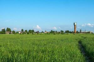 en bred öppen fält med grön gräs på en sommar dag med en klar blå himmel och en by på de horisont foto