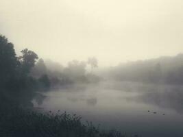 morgon- sommar landskap med dimma över de sjö foto