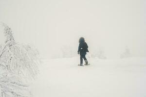 polär expedition. en ensam resande på Snöskor promenader längs en snöig backe i en dimmig frostig svepa. svår nordlig väder, fattig synlighet. foto