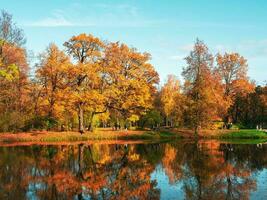 höst vägbank längs de sjö i de stad parkera med ljus gyllene träd, gående människor och reflektioner i de vatten. foto