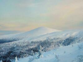 snötäckt polär kon kullar i vinter- tidigt i de morgon. wi foto